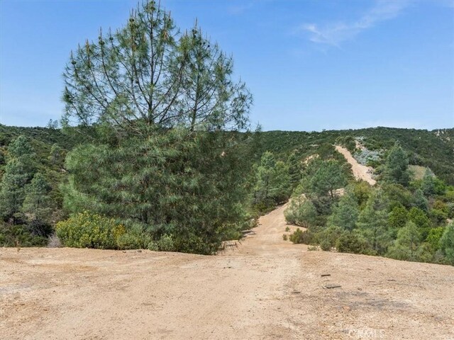 1535 Parkhill Rd, Santa Margarita, CA 93453 - photo 51