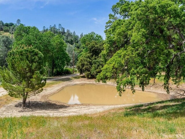 1535 Parkhill Rd, Santa Margarita, CA 93453 - photo 39