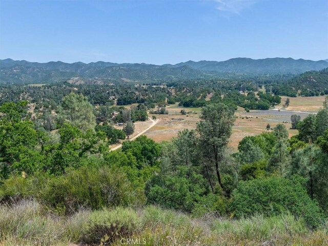 1535 Parkhill Rd, Santa Margarita, CA 93453 - photo 49