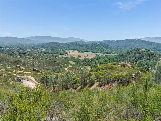 1535 Parkhill Rd, Santa Margarita, CA 93453 - photo 58