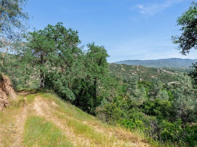 1535 Parkhill Rd, Santa Margarita, CA 93453 - photo 47