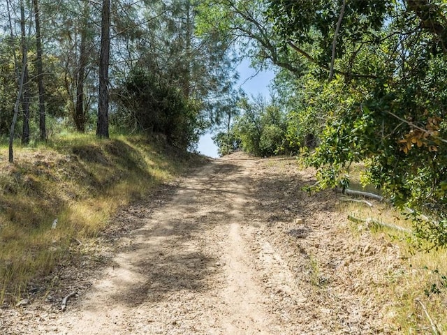 1535 Parkhill Rd, Santa Margarita, CA 93453 - photo 45