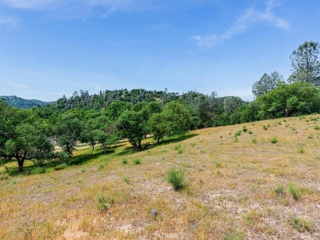 1535 Parkhill Rd, Santa Margarita, CA 93453 - photo 37