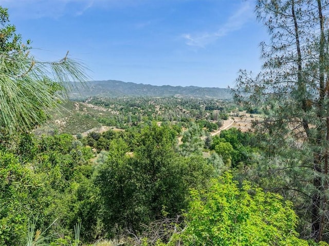 1535 Parkhill Rd, Santa Margarita, CA 93453 - photo 50
