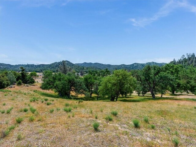 1535 Parkhill Rd, Santa Margarita, CA 93453 - photo 36