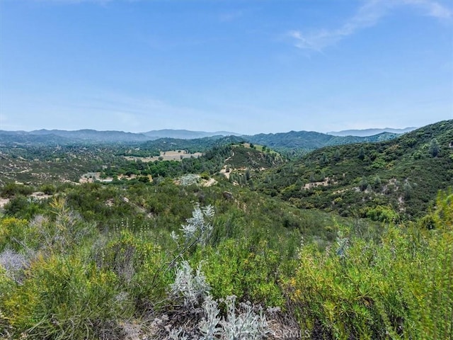 1535 Parkhill Rd, Santa Margarita, CA 93453 - photo 54