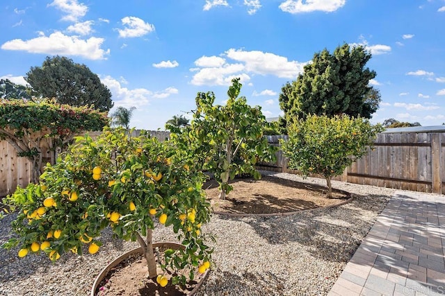 3185 Monroe St, Carlsbad, CA 92008 - view of fenced backyard