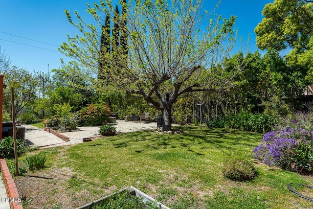 view of yard featuring a patio