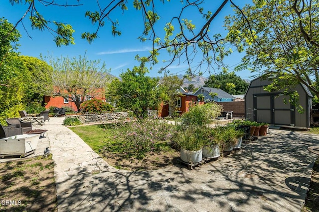 view of yard featuring a patio, a storage unit, and an outbuilding