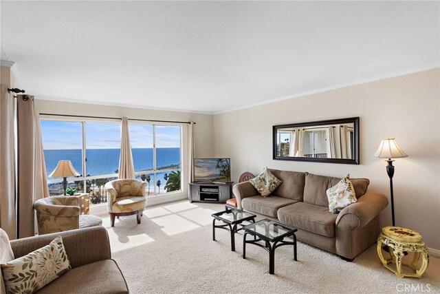 411 Avenida Granada Unit 4F, San Clemente, CA 92672 - living room featuring carpet floors and ornamental molding