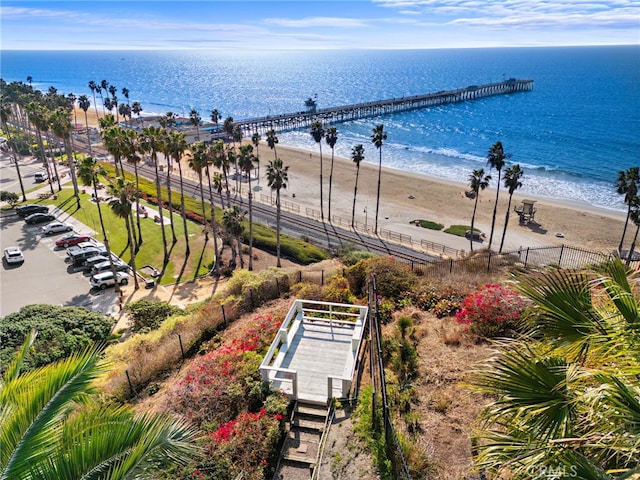 aerial view with a water view and a view of the beach