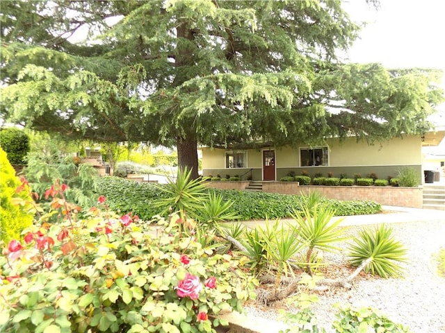 11639 Lennox St, Yucaipa, CA 92399 - photo 24