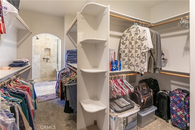 walk in closet with carpet floors