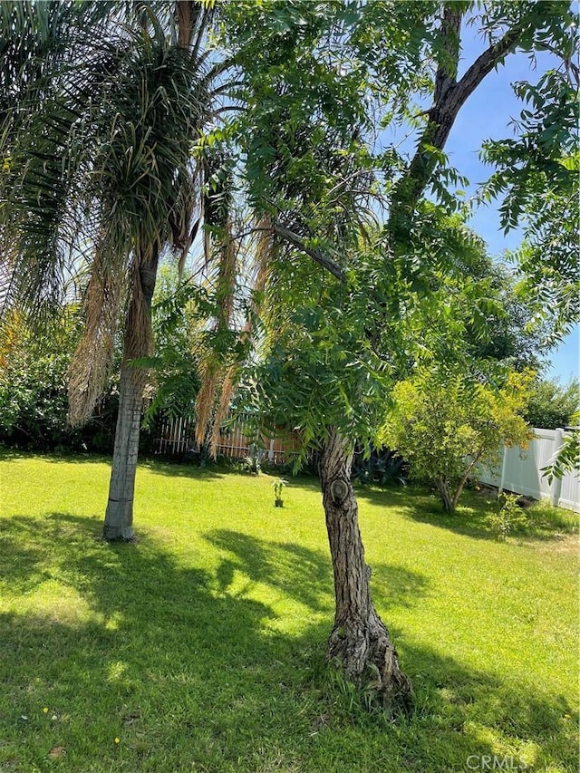 2998 Mary St, Riverside, CA 92506 - view of yard featuring fence