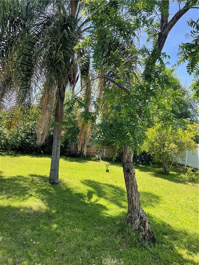 2998 Mary St, Riverside, CA 92506 - view of yard