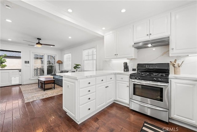 kitchen with plenty of natural light, gas range, under cabinet range hood, ornamental molding, and a peninsula