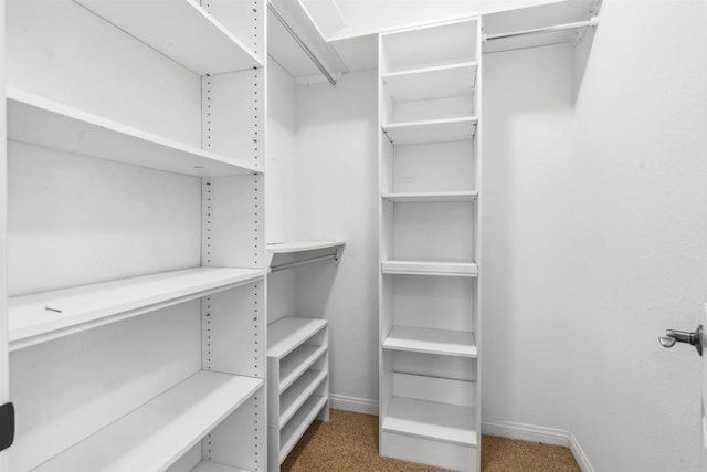 spacious closet with carpet