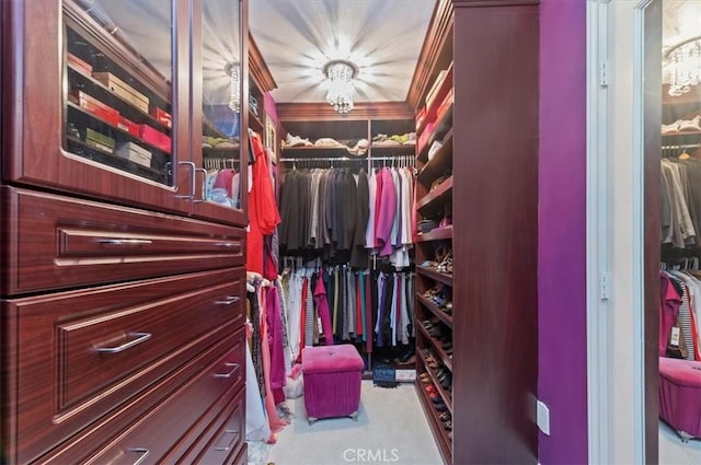 spacious closet featuring carpet flooring
