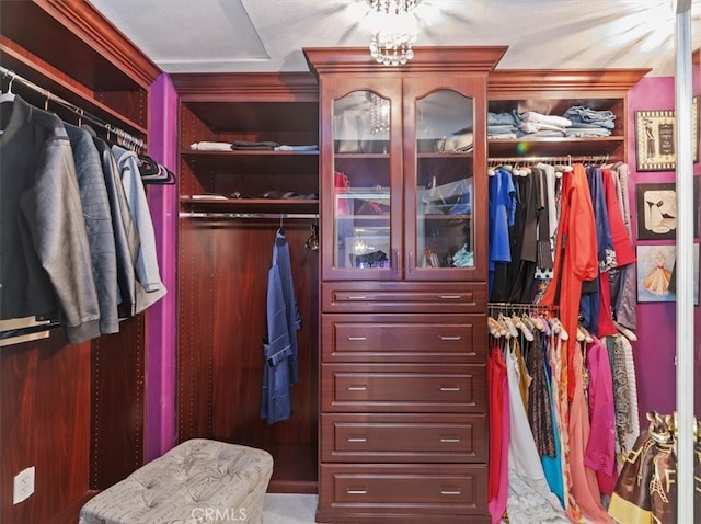 view of walk in closet