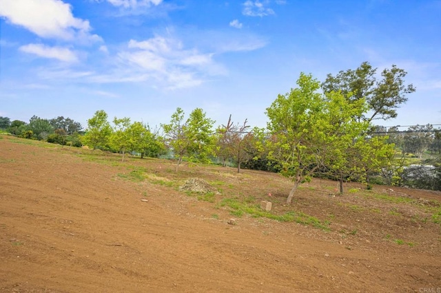 view of local wilderness