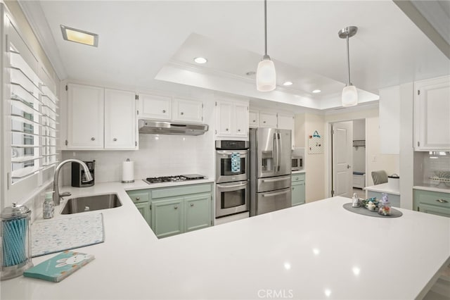 kitchen with stainless steel appliances, a tray ceiling, decorative backsplash, and a sink