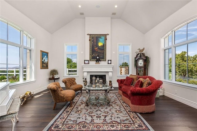 living area with a fireplace, a healthy amount of sunlight, dark wood-style floors, and baseboards