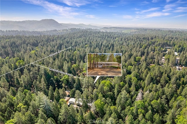 drone / aerial view featuring a wooded view and a mountain view