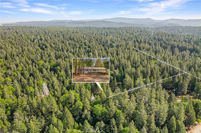 bird's eye view with a mountain view and a view of trees