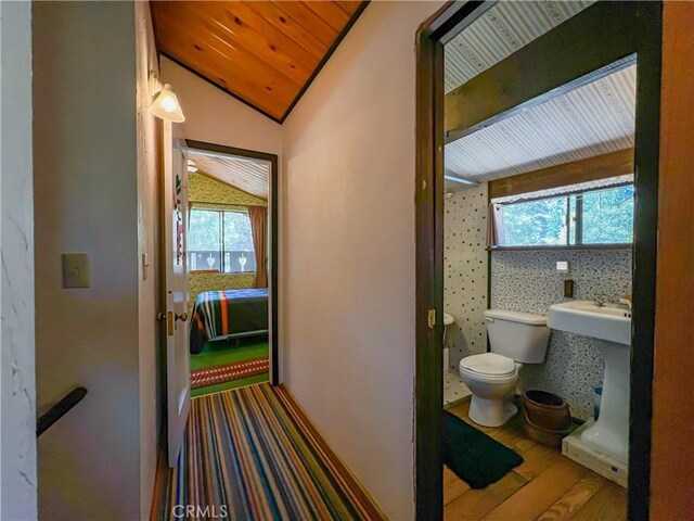 bathroom featuring lofted ceiling, toilet, plenty of natural light, and wooden ceiling