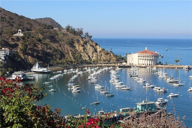 320 Metropole Ave Unit C, Avalon, CA 90704 - water view featuring a marina and a mountain backdrop