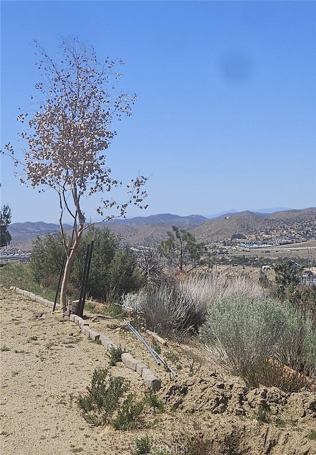 mountain view