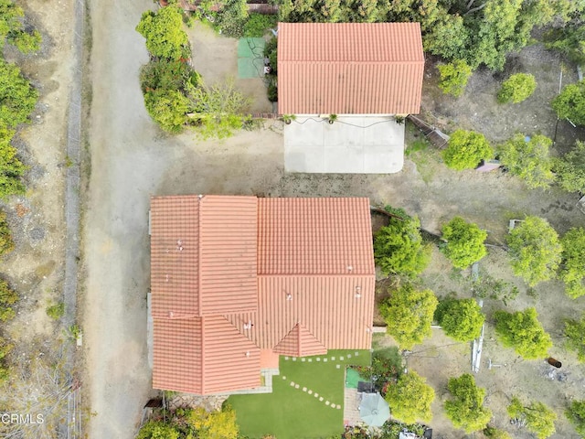 drone / aerial view