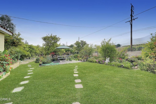view of yard with a patio area