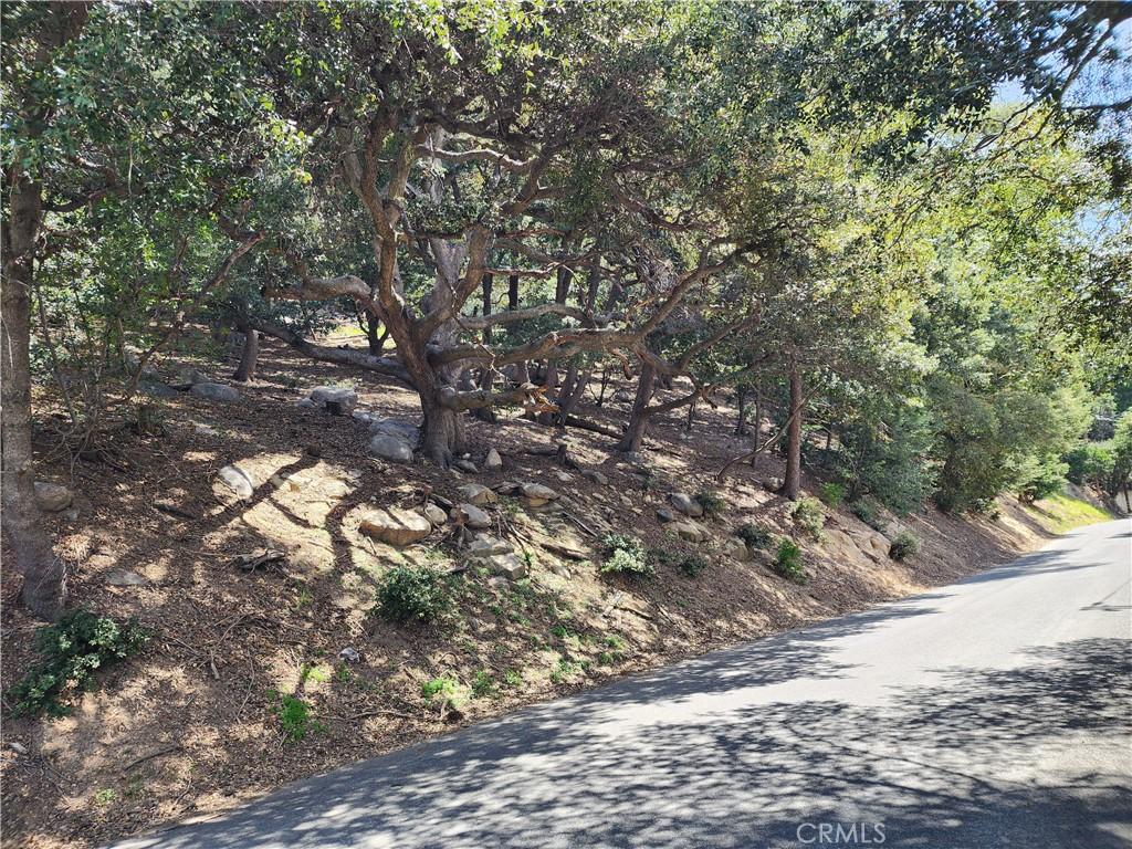 0 Arbula Dr, Crestline, CA 92325 - photo 1