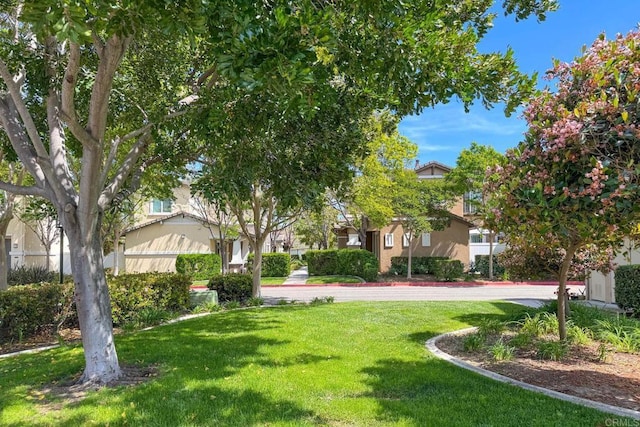369 Borden Rd, San Marcos, CA 92069 - photo 35