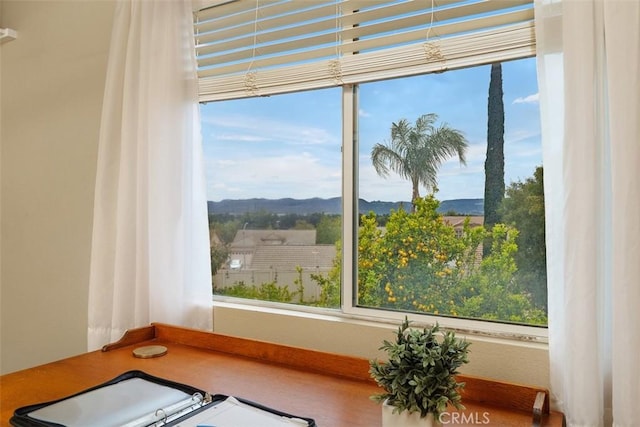 room details with a mountain view