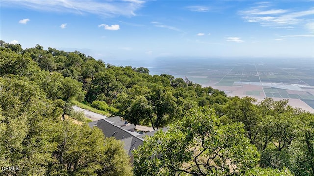 bird's eye view with a wooded view