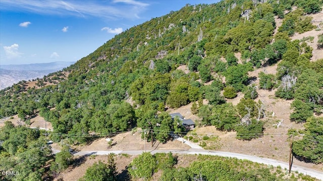 drone / aerial view with a mountain view and a view of trees