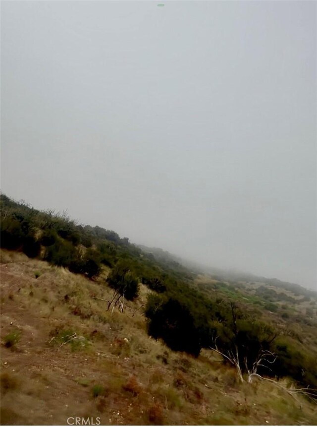 6920 Baldy Mesa Rd, Phelan, CA 92344 - photo 6