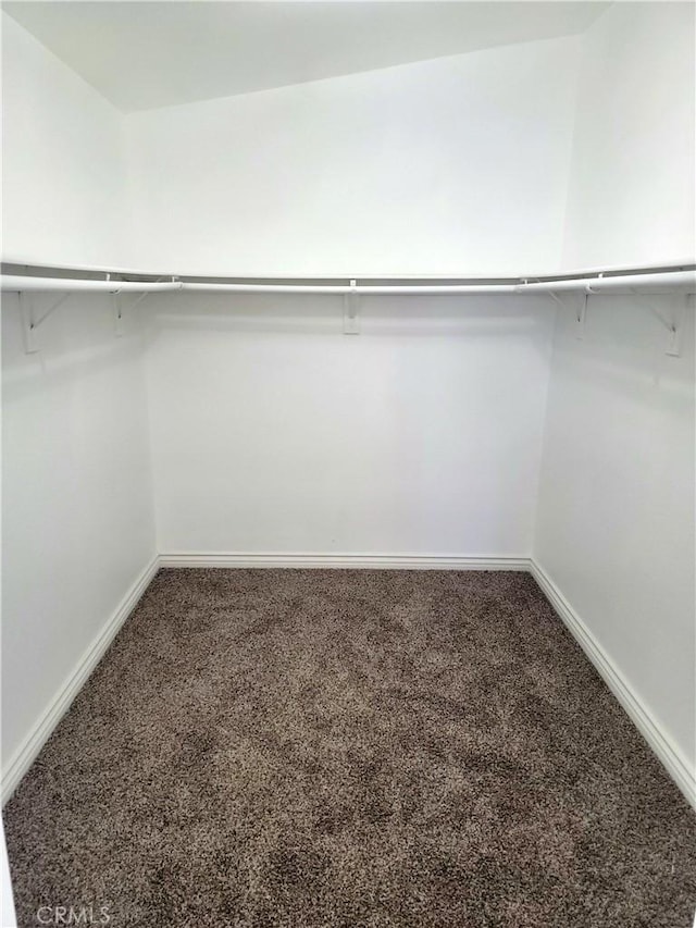 spacious closet with carpet floors