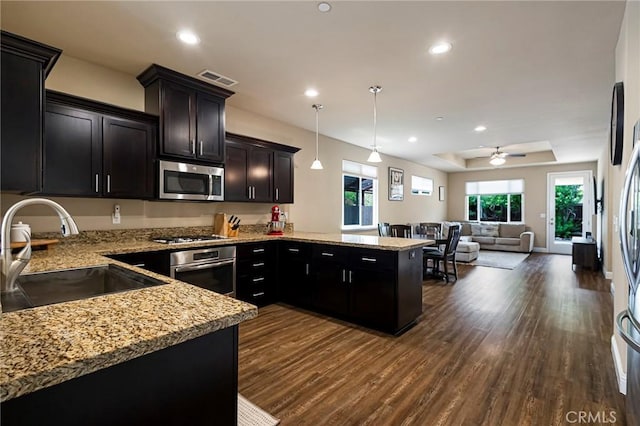 kitchen featuring dark wood-type flooring, a sink, appliances with stainless steel finishes, and a peninsula