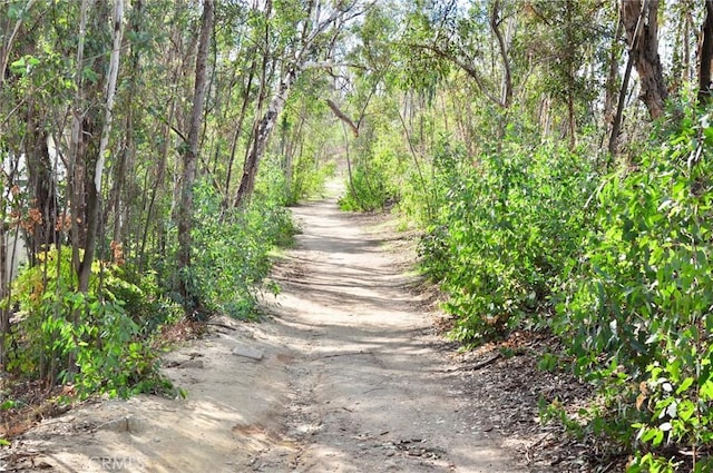 view of road featuring a forest view