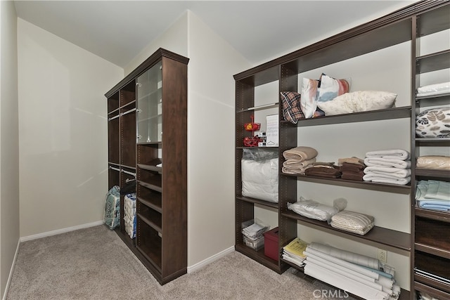 walk in closet with carpet flooring