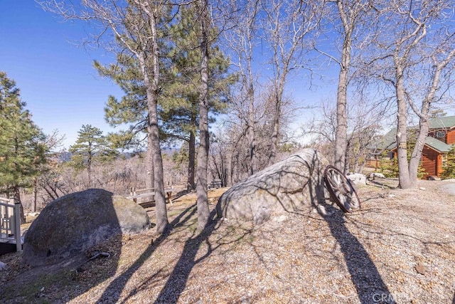 32950 Canyon Dr, Green Valley Lake, CA 92341 - view of yard