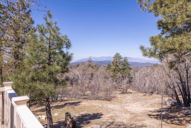 32950 Canyon Dr, Green Valley Lake, CA 92341 - mountain view