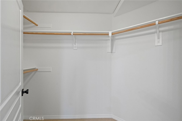 view of walk in closet