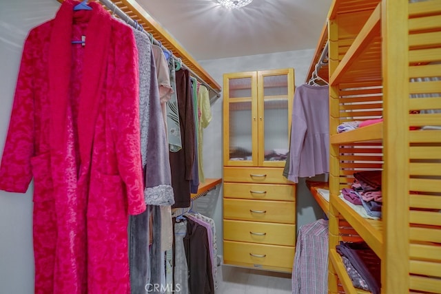 view of walk in closet