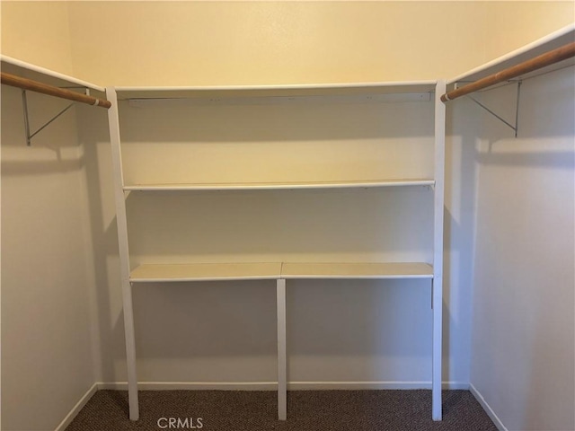 walk in closet featuring carpet