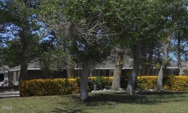 exterior space featuring a yard