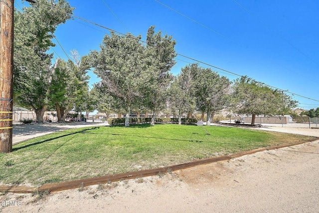 10298 Custer Ave, Lucerne Valley, CA 92356 - photo 14